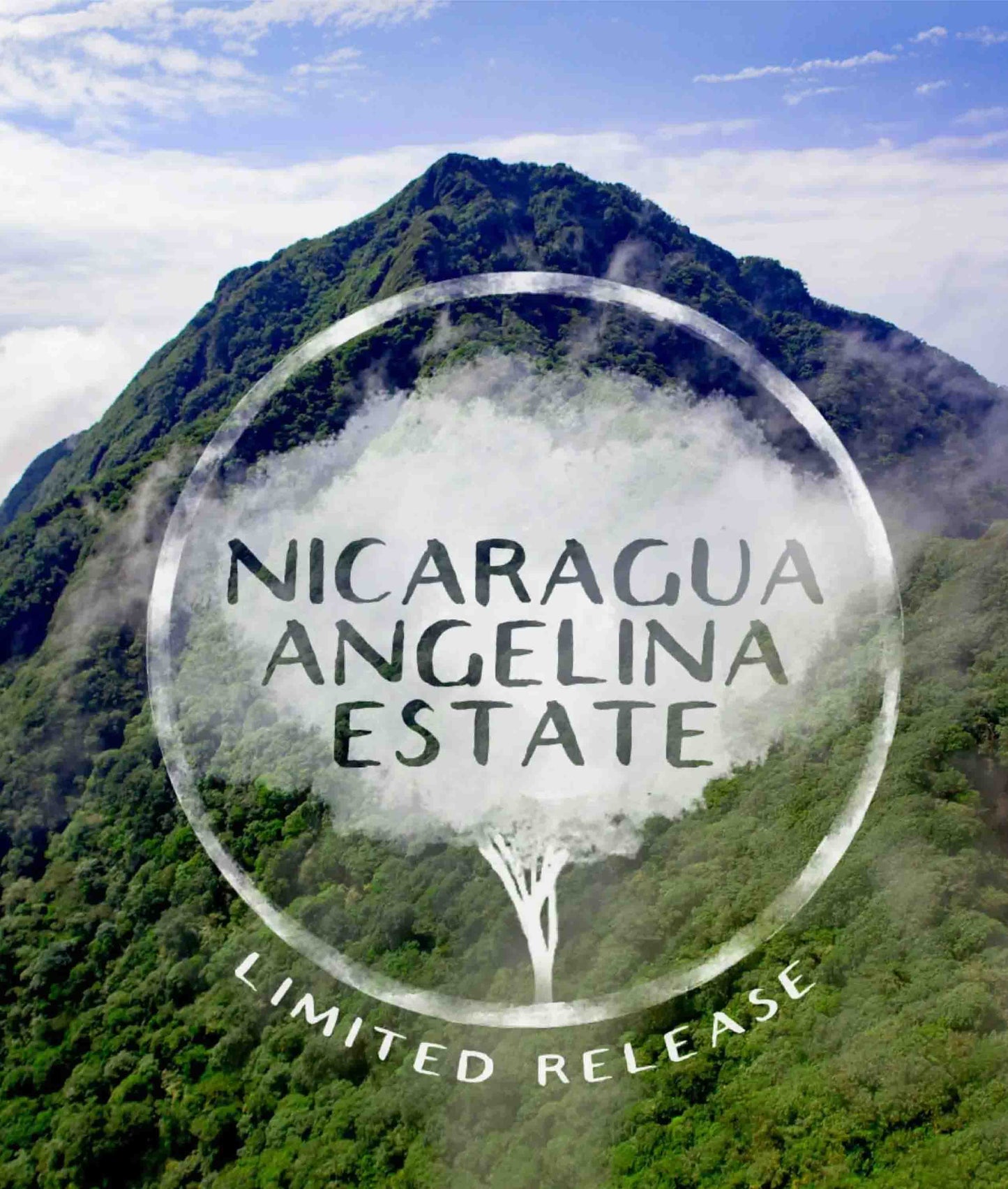 Nicaragua Angelina Estate