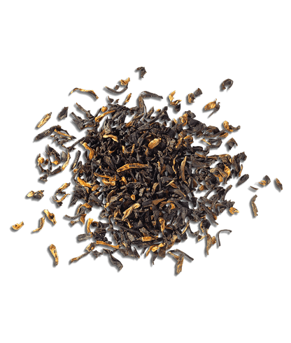 Assam Golden Tip