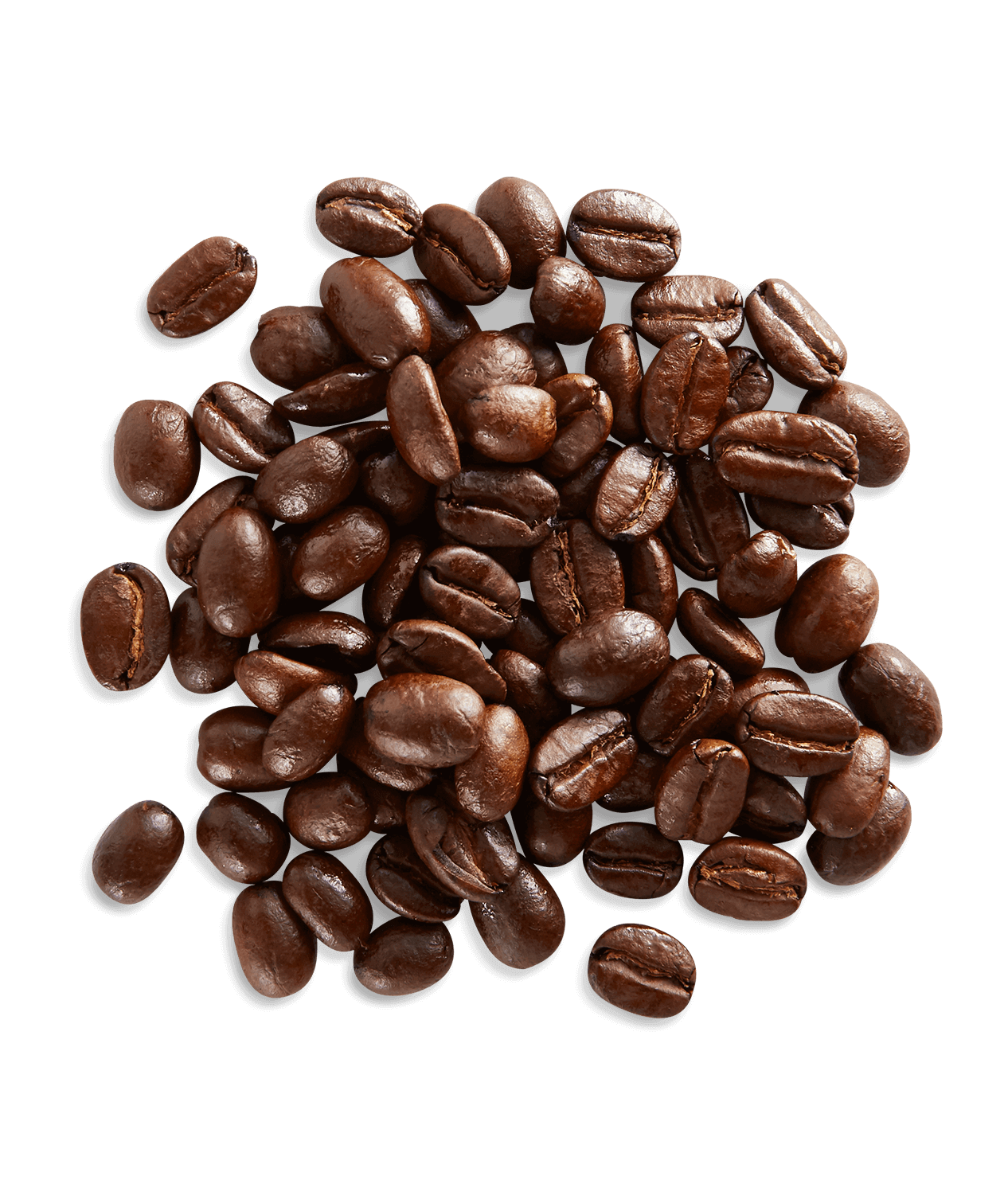 Ethiopian Fancy
