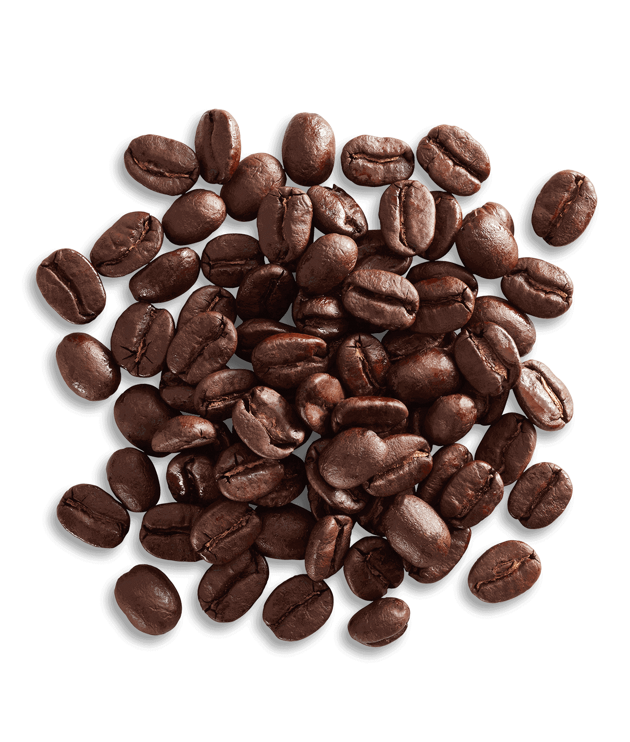 Nicaragua Angelina Estate