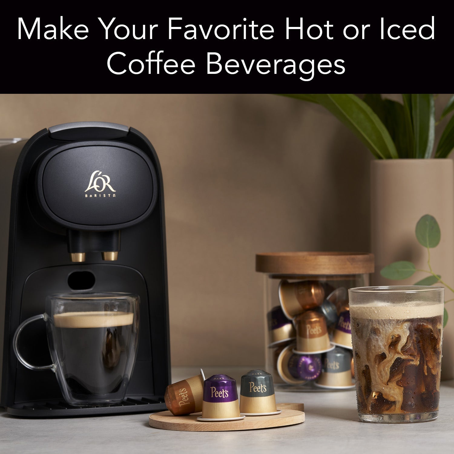Berkeley Roast Coffee Capsules
