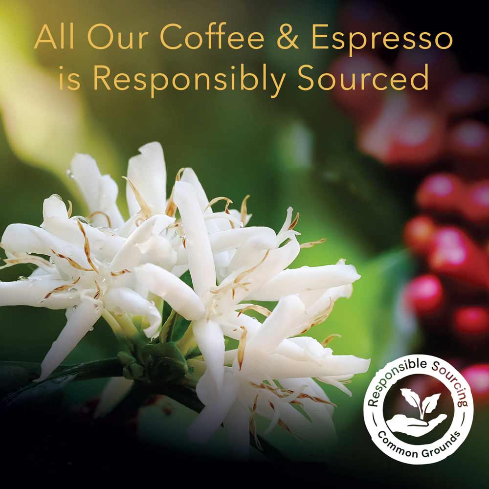 L'OR Espresso Mild Sampler